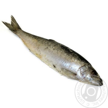 Frozen Herring 350+ - buy, prices for NOVUS - photo 2