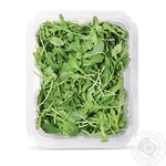 Arugula 75g