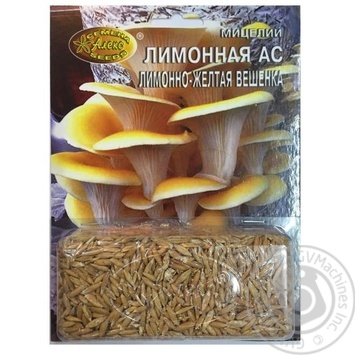 Aleks Lemon Yellow Oyster Mushroom Grain Mycelium 250ml - buy, prices for NOVUS - photo 1