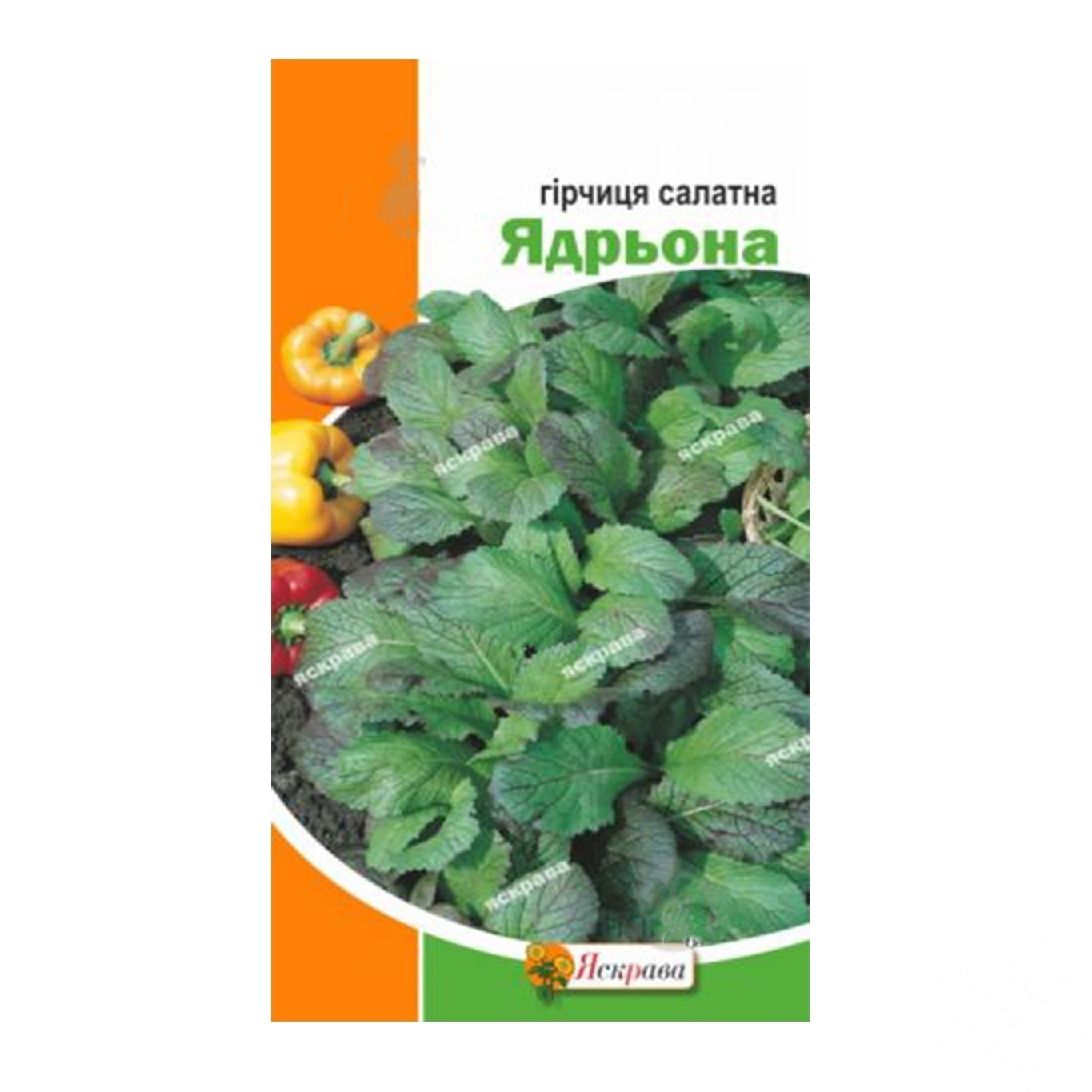 

Семена Яскрава Горчица салатна Ядрёная 2г