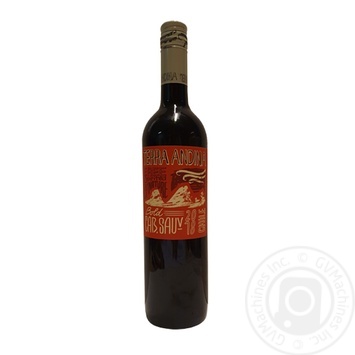 Вино Terra Andina Cabernet Sauvignon Cenrtale Valley DO червоне сухе 13,5% 0,75л - купити, ціни на NOVUS - фото 1