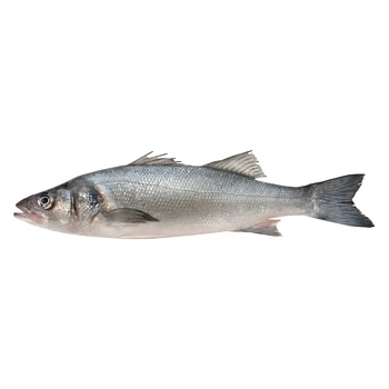 Chilled Seabass - buy, prices for NOVUS - photo 1