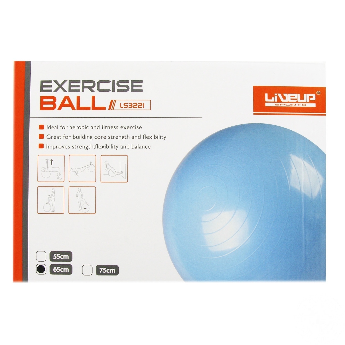 

Фитбол LiveUp детский с ручкой 65см