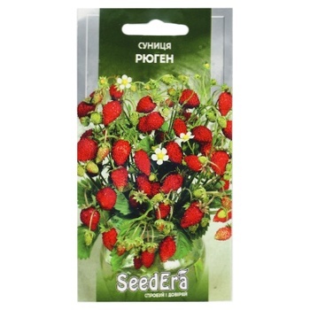 Seedera Rugen Strawberries 0.5g