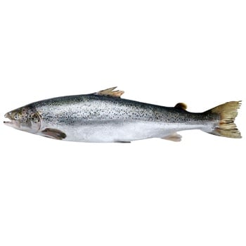 Chilled Salmon 1-2 - buy, prices for NOVUS - photo 1