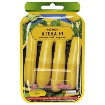 Yaskrava Athena Squash Seeds 1pc - buy, prices for NOVUS - photo 1