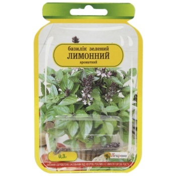 Yaskrava Green Lemon Basil Seeds 1pc