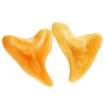 Вуха ельфа BroKbridge