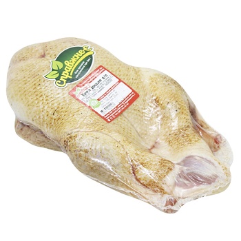 Spravzhne-E Domestic Duck - buy, prices for NOVUS - photo 1