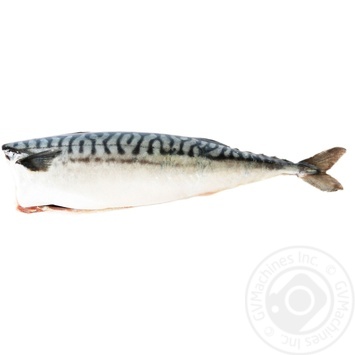 Mackerel spicy without head