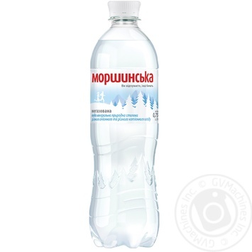 Мінеральна вода Моршинська природна негазована 0,75л купити, ціни на МегаМаркет - фото 1