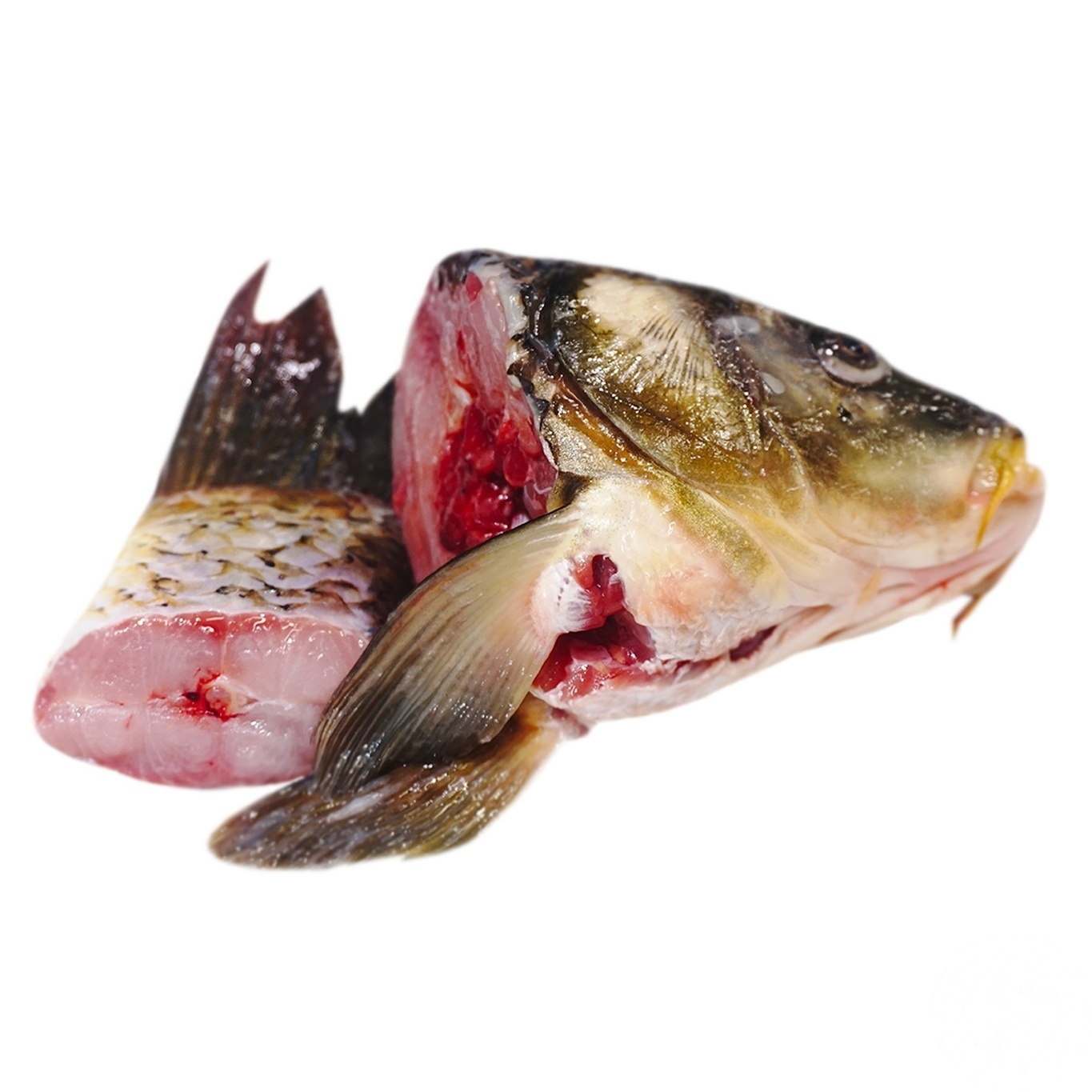 

Карп суповой набор