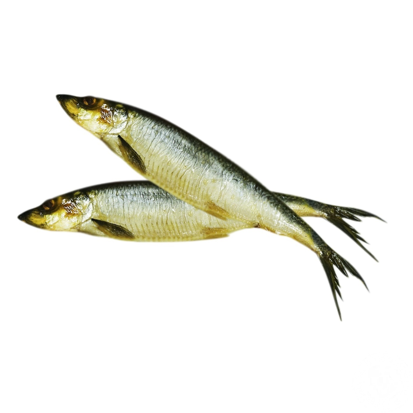 

Сельдь слабосоленая весовая