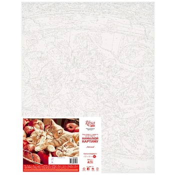Rosa Start Cats Picture by Numbers 35*45cm - buy, prices for - photo 1