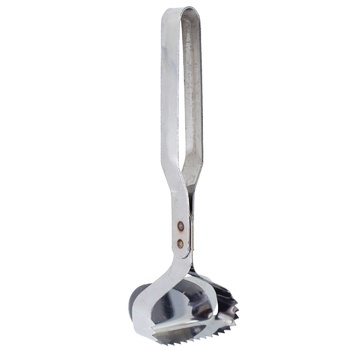 Steel Fish Cleaner 15cm - buy, prices for - photo 1