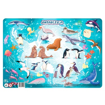 DoDo Antarctica Puzzle with Frame