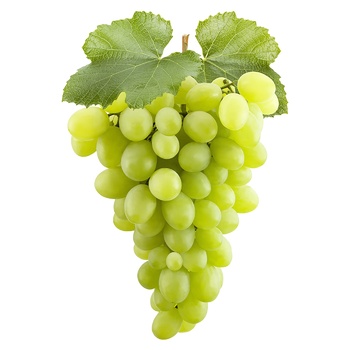 White Kishmish Grape - buy, prices for EKO Market - photo 1