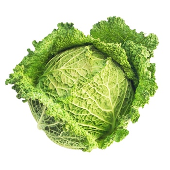 Savoy Cabbage - buy, prices for EKO Market - photo 1