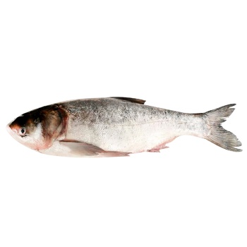 Chilled Silver Carp 3-5 - buy, prices for Tavria V - photo 1