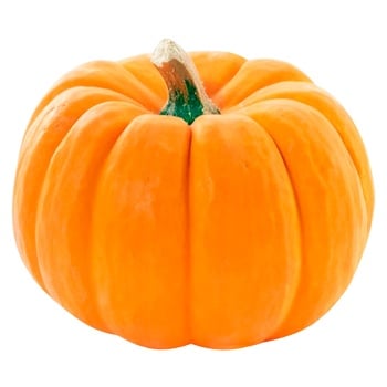 Pumpkin - buy, prices for Tavria V - photo 1