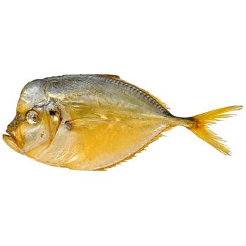 Cold Smoked Moonfish - buy, prices for EKO Market - photo 1