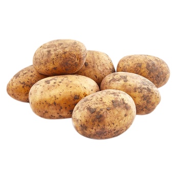 Potato White Ukraine - buy, prices for Vostorg - photo 1