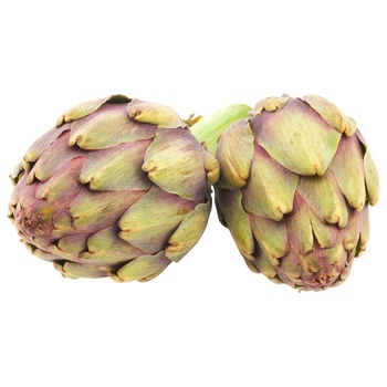 Baby Artichoke - buy, prices for Vostorg - photo 1