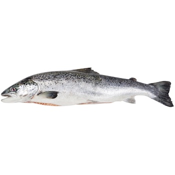 Salmon 1-2 - buy, prices for Vostorg - photo 1