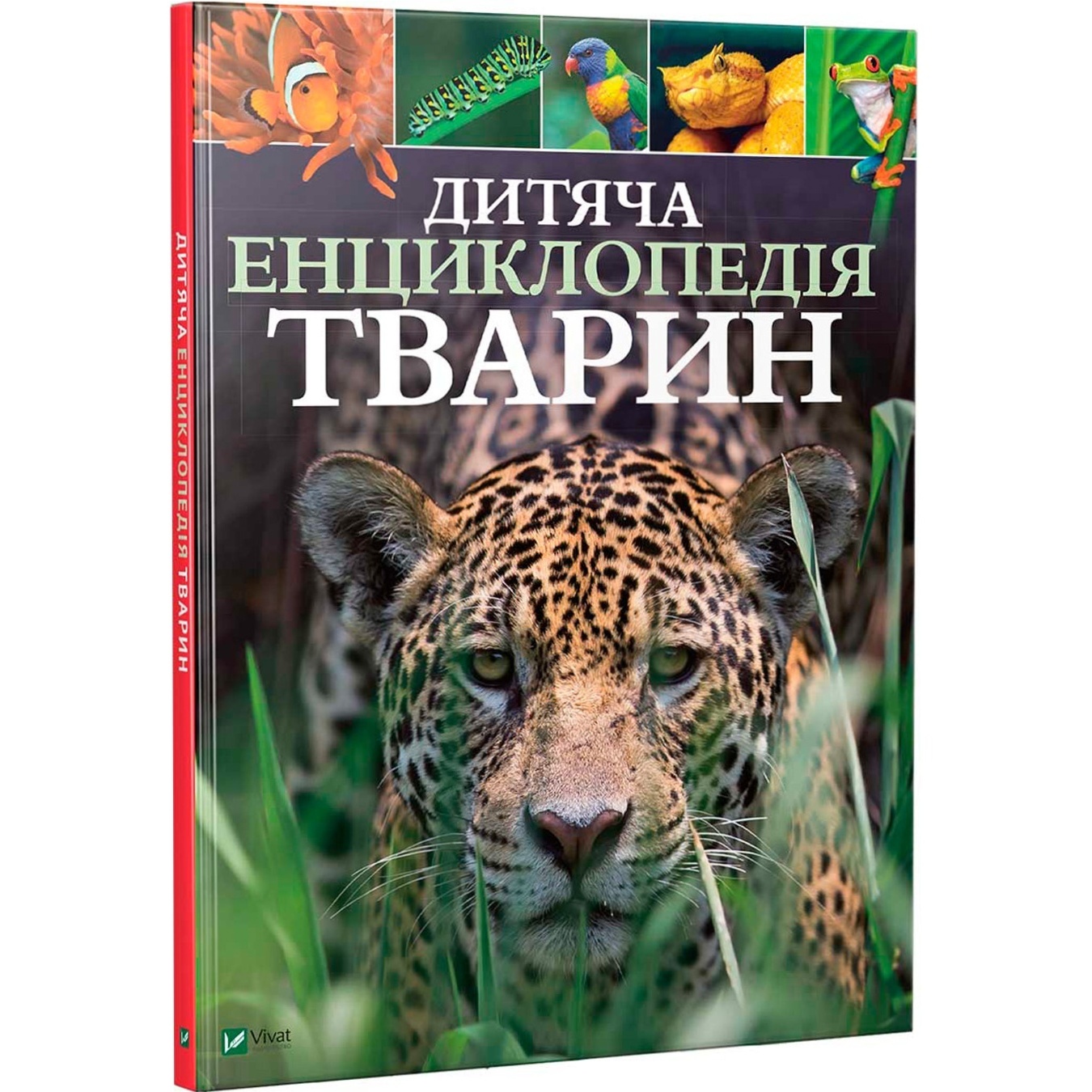 

Книга Детская энциклопедия животных