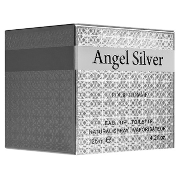 ТВ ДЛЯ ЧОЛ ANGEL SILVER 125МЛ