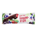 Rud Fruit and Berry Ice cream 70g