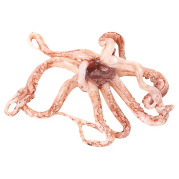 tentacle Without brand with squid Ukraine - buy, prices for - photo 1