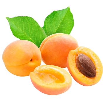 Apricot - buy, prices for EKO Market - photo 1