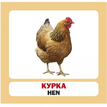 Sova Pets Set of Cards - buy, prices for Auchan - photo 1