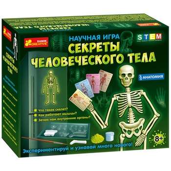 Ranok 0398 (12115017Р) Anatomy Human Body Secrets Scientific Game - buy, prices for Auchan - photo 1