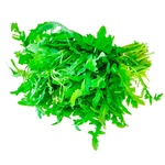Arugula