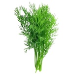 Dill