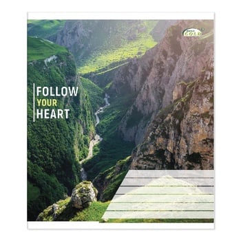 Gold Brisk Notebook in Oblique Line 12 sheets - buy, prices for Auchan - photo 2