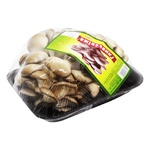 Oyster Mushrooms 300g