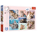 Пазл Trefl В мире кошек 100 элементов
