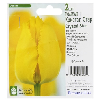 Bulbs G - buy, prices for - photo 4