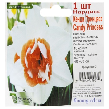 Bulbs G - buy, prices for - photo 3