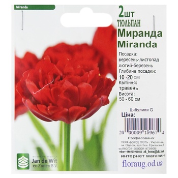 Bulbs G - buy, prices for - photo 5