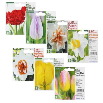 Bulbs G - buy, prices for Biotus - photo 1