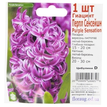 Bulbs D - buy, prices for COSMOS - photo 4