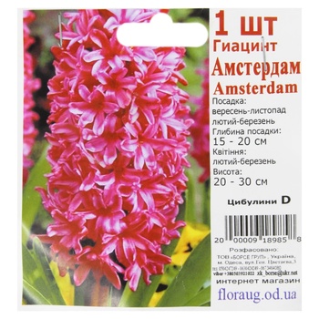 Луковицы D - купить, цены на КОСМОС - фото 6