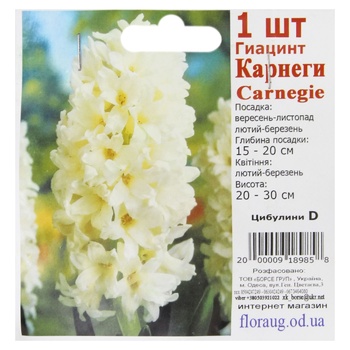 Bulbs D - buy, prices for COSMOS - photo 8