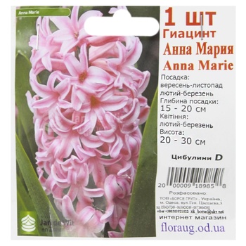 Bulbs D - buy, prices for COSMOS - photo 3