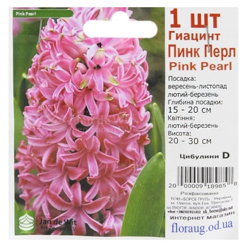 Bulbs D - buy, prices for COSMOS - photo 7