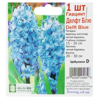 Цибулини D - купити, ціни на КОСМОС - фото 2